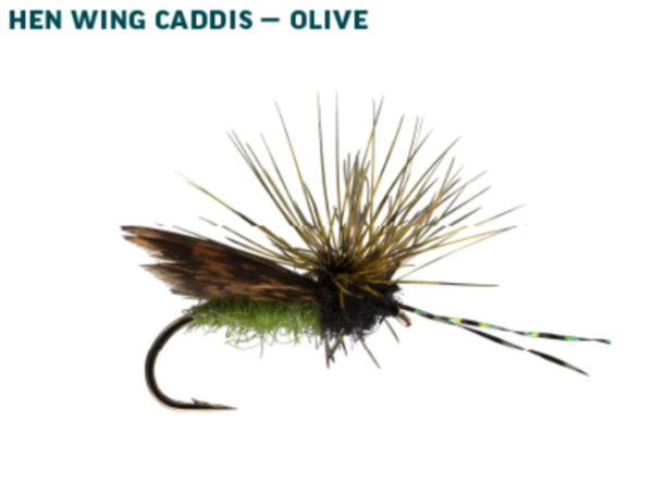 RIO Dry Fly Assortment Caddis Olive